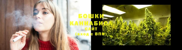 прущая мука Бородино