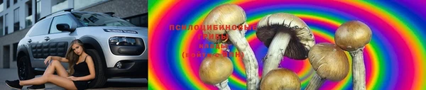 гидра Протвино