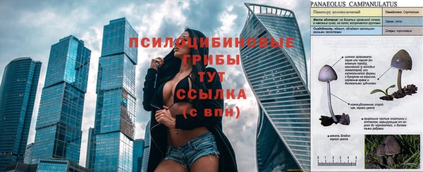 прущая мука Бронницы