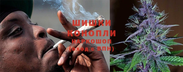 прущая мука Бородино