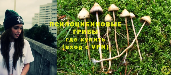 ALPHA-PVP Пролетарск