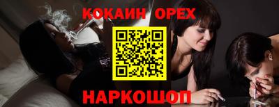 гашик Аргун