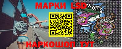 гашик Аргун