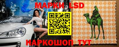 гашик Аргун