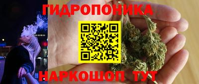 гашик Аргун