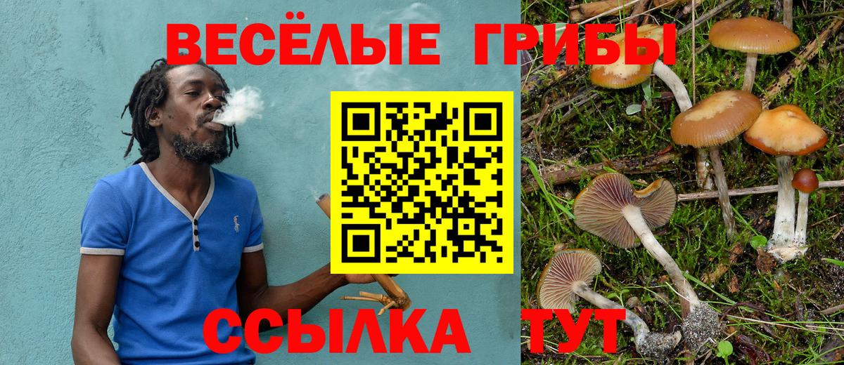 Галлюциногенные грибы Magic Shrooms  Псилоцибиновые грибы Cubensis  Бугульма 