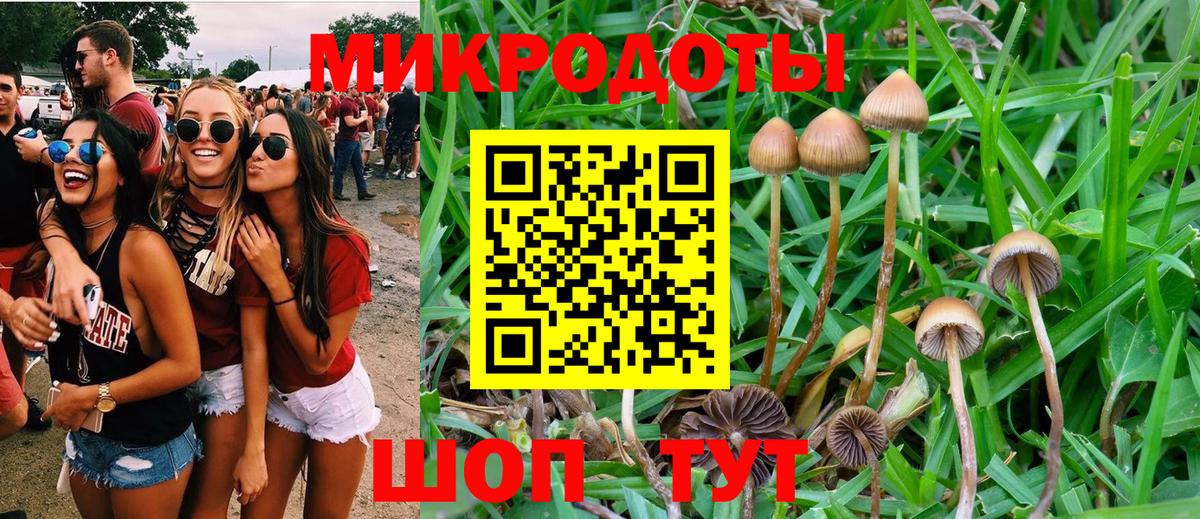 Галлюциногенные грибы Cubensis  хочу наркоту  Вход с VPN  Бугульма  Галлюциногенные грибы Magic Shrooms 