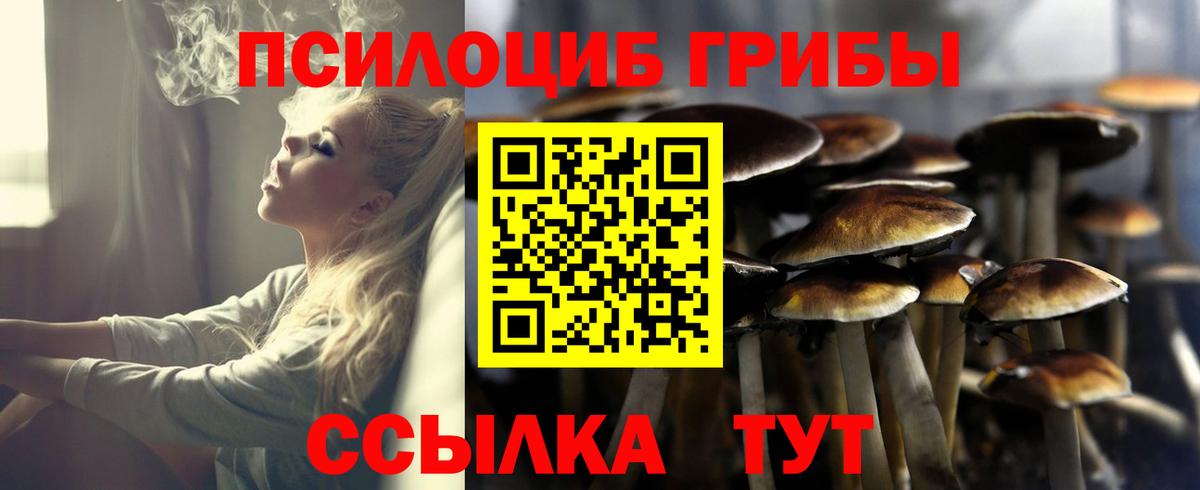 Галлюциногенные грибы GOLDEN TEACHER Бугульма